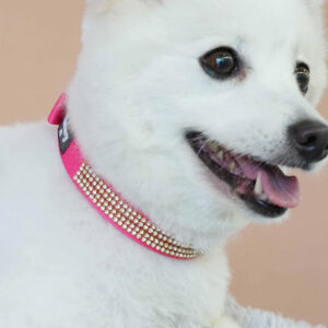 Bling Collars