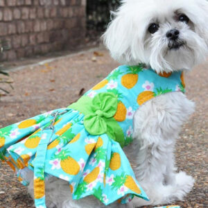 Harness Dresses Dog