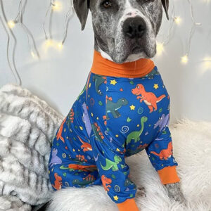 pajamas dog