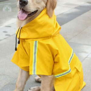 rain coats dog