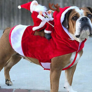 Christmas Dog Dress